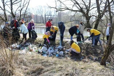 Ликвидация стихийной свалки на берегу Десны